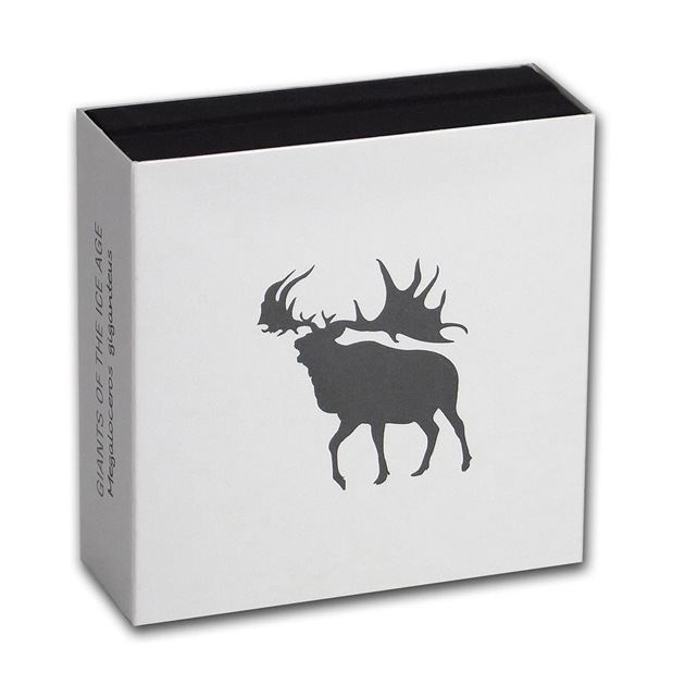 ɹ�ϴ��ε�� ����ưʪ���꡼�����ᥬ����������� 1���� �ץ롼�� 500���ǥ� 2019ǯ�� �����ʶ��¹�ȯ�� ���쥯����󥱡�������