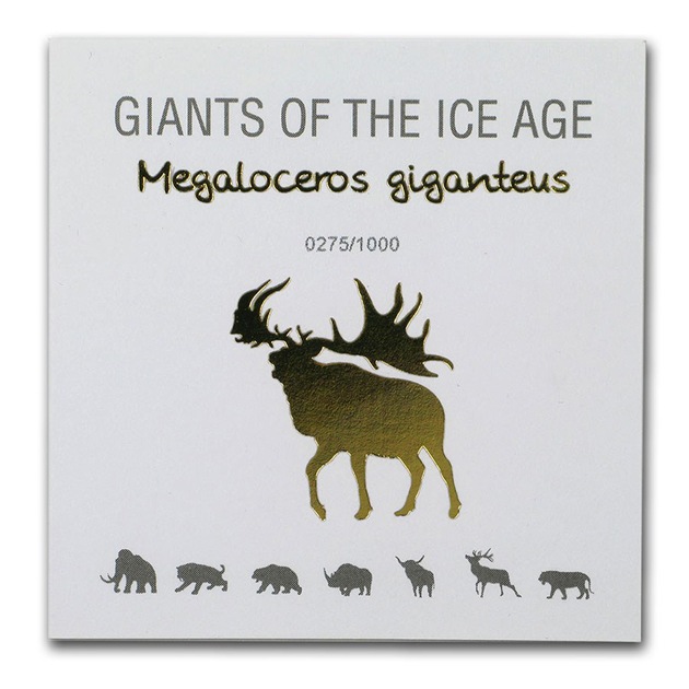 ɹ�ϴ��ε�� ����ưʪ���꡼�����ᥬ����������� 1���� �ץ롼�� 500���ǥ� 2019ǯ�� �����ʶ��¹�ȯ�� ���쥯����󥱡�������