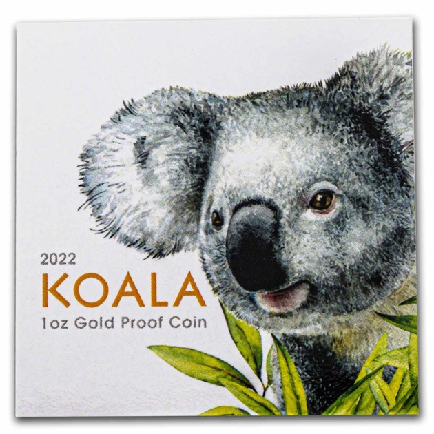 �������� 1���� �ץ롼�� 100�ɥ� 2022ǯ�� �˥���ȯ�� ���쥯����󥱡�������