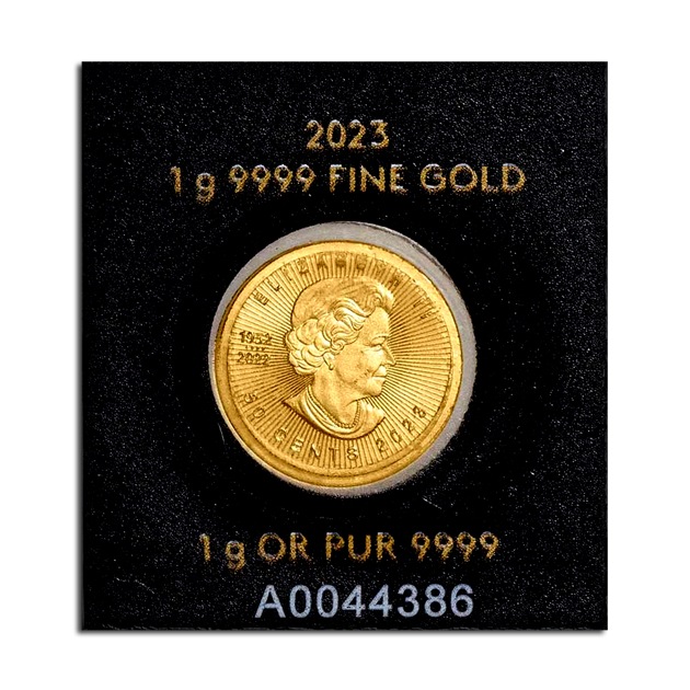 �ᥤ�ץ��� 1g 2023ǯ��