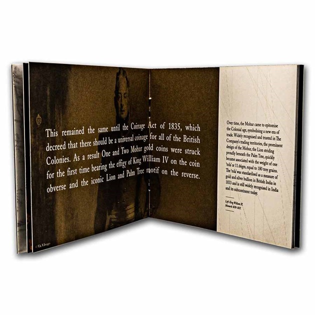 饤 ϡ 1ݥ 2022ǯ ȥإȯ ץ롼 쥯󥱡