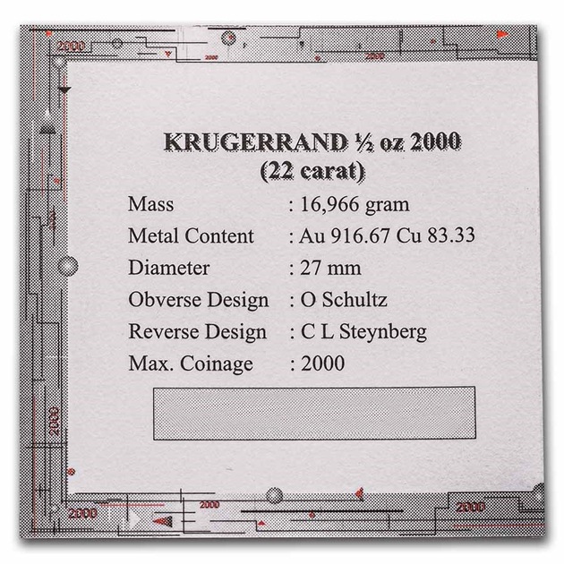 롼ɶ 1/2 2000ǯ եꥫ¹¤ʾȯ ץ롼 쥯󥱡