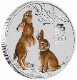 ٱ 1/2 2023ǯ 顼
