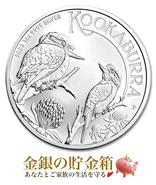 ���碌�߶�� 1���� 2023ǯ��