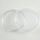 ���󥬥롼��� 1���� 2022ǯ��