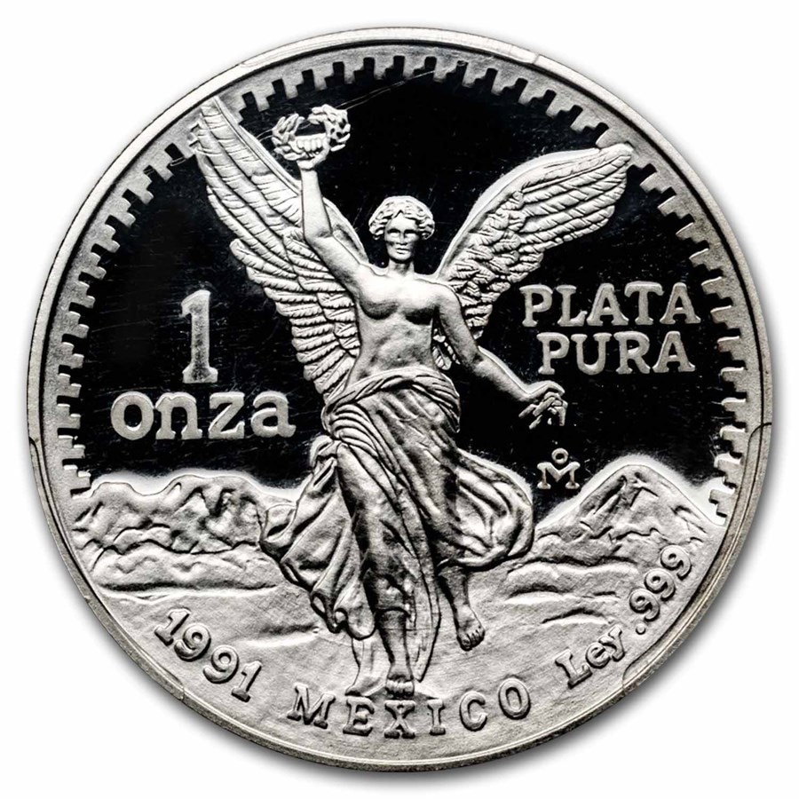 1991ǯ ᥭ ٥륿  1 С   ν л  ȡ֡ॺ ᥭ ᥭƥ ץ롼 PR-70 DCAM PCGS