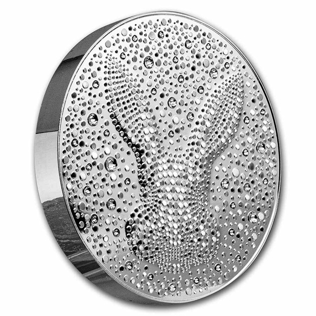 2023ǯ �˥��� ���� ������ ��� 1kg 50�ɥ� �֥�å�������������ӥå� ��ȥ��˥�¤ʾ�� �ϥ���꡼�� ������ե��������ꥹ���� ���쥯����󥱡�������