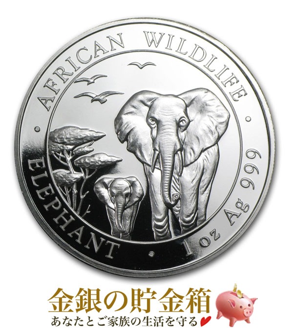 ������ʪ �ݶ�� 1���� 2015ǯ��