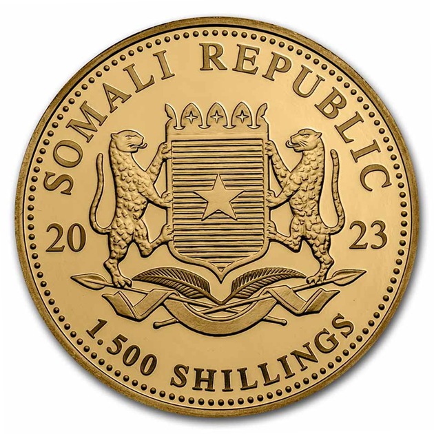 եꥫưʪ꡼եꥫ 5 1500 2023ǯ ޥꥢȯ ץ롼 쥯󥱡