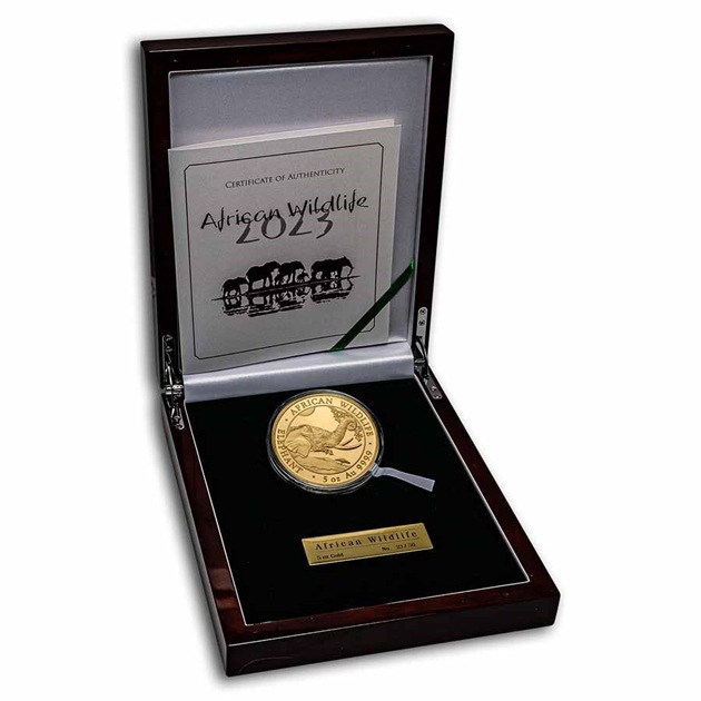 եꥫưʪ꡼եꥫ 5 1500 2023ǯ ޥꥢȯ ץ롼 쥯󥱡