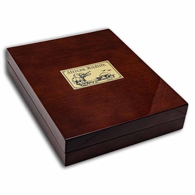 եꥫưʪ꡼եꥫ 5 1500 2023ǯ ޥꥢȯ ץ롼 쥯󥱡