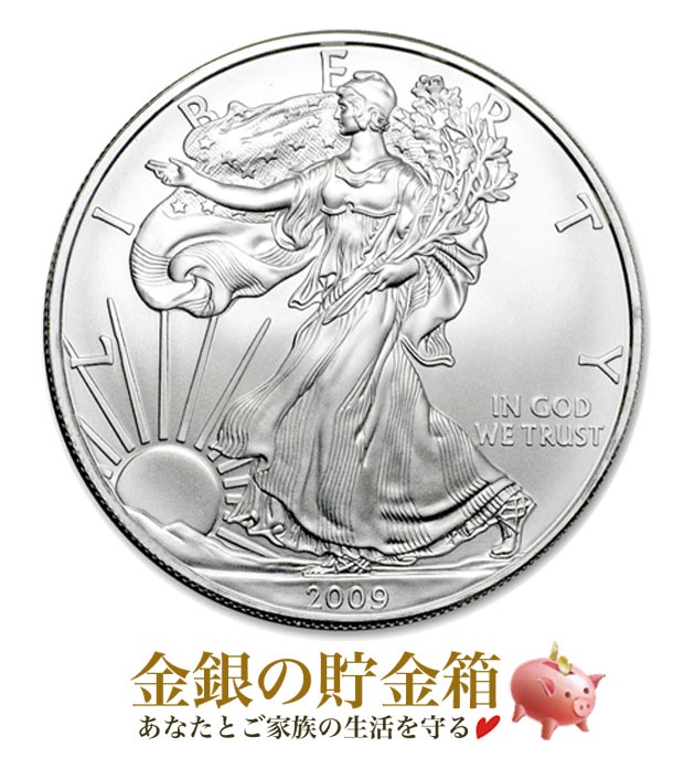���������� 1���� 2009ǯ��