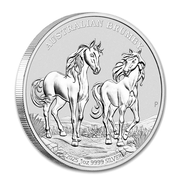 �֥��ӡ���� 1����