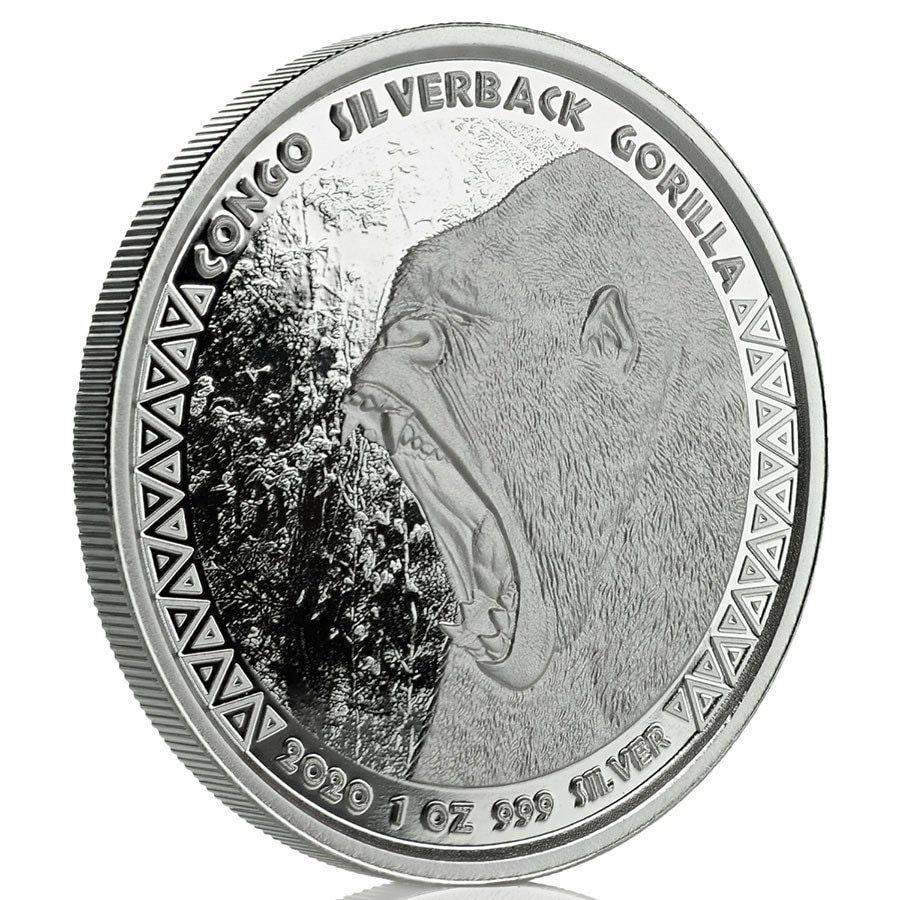 ����С��Хå� ������� 1����2020ǯ