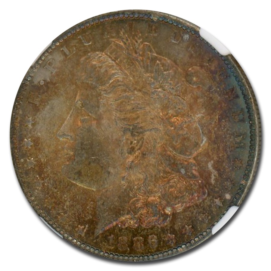 1886ǯ ��륬�� ���顼 ��� 1�ɥ� ����С� ��륬�� �إå� ��Хƥ� �������� ����ꥫ�罰��¤ʾ�� �˥塼������� MS-63 NGC ����ƥ�����������
