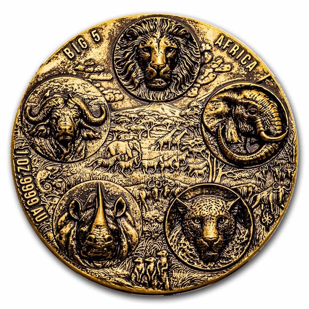 ӥå 5 եꥫ ץ꡼ȶ 1 100ե 2023ǯ ȥܥȯ ϥ꡼ ƥž夲 쥯󥱡