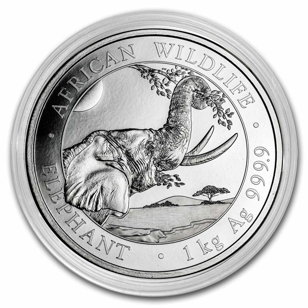 2023ǯ ���եꥫ����ưʪ���꡼�������եꥫ ���� ��� �� ����ե���� 1kg 2000����� ���ޥꥢȯ�� �Х������¤ʾ�� BU