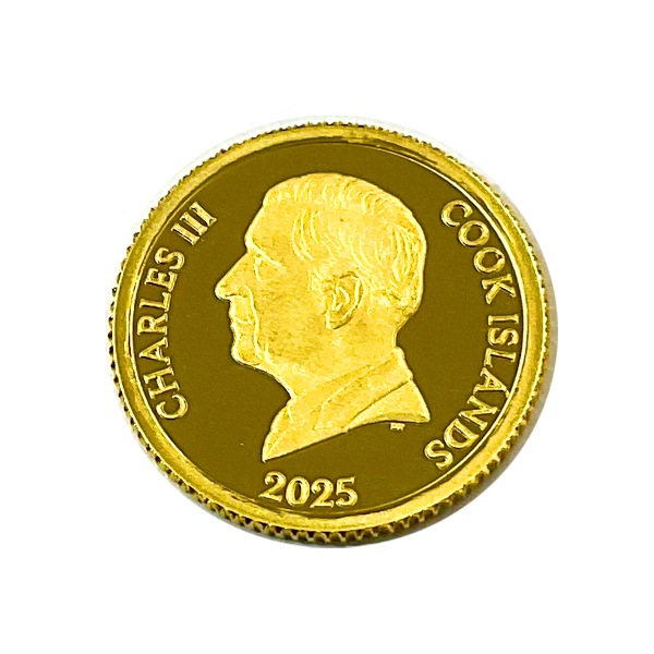 ��˥������� 1/30���� 2025ǯ�� ���ѥܥå�������