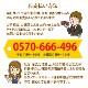 �饤����إå� ����С� ���󥴥å� 1����