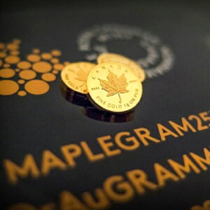 �ᥤ�ץ��� 1g 2�ĥ��å�