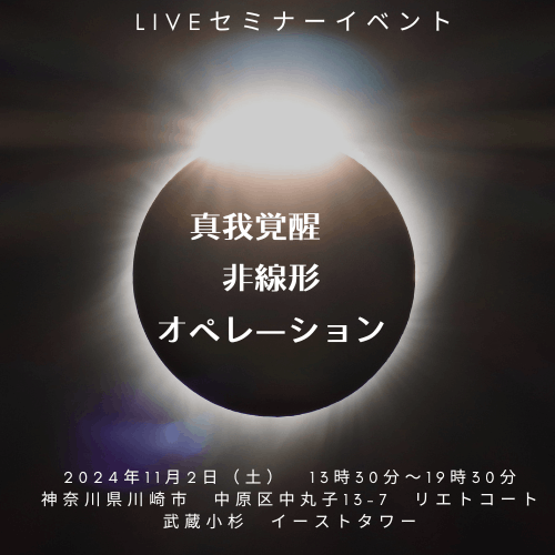 （懇親会費用つき）リアル開催2024年11月2日（土）13：30～19：30真我覚醒　非線形オペレーション