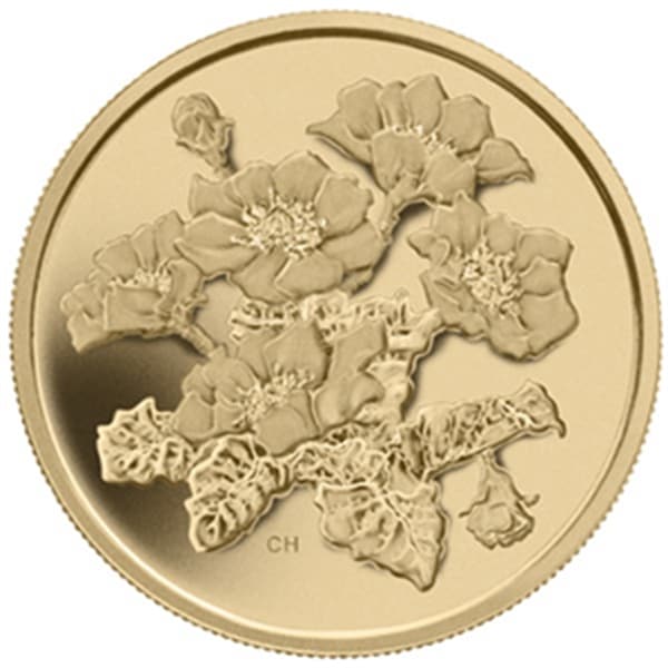 2011カナダ350ドル金貨マウンテン・アベンス　箱付き　発行枚数1300枚