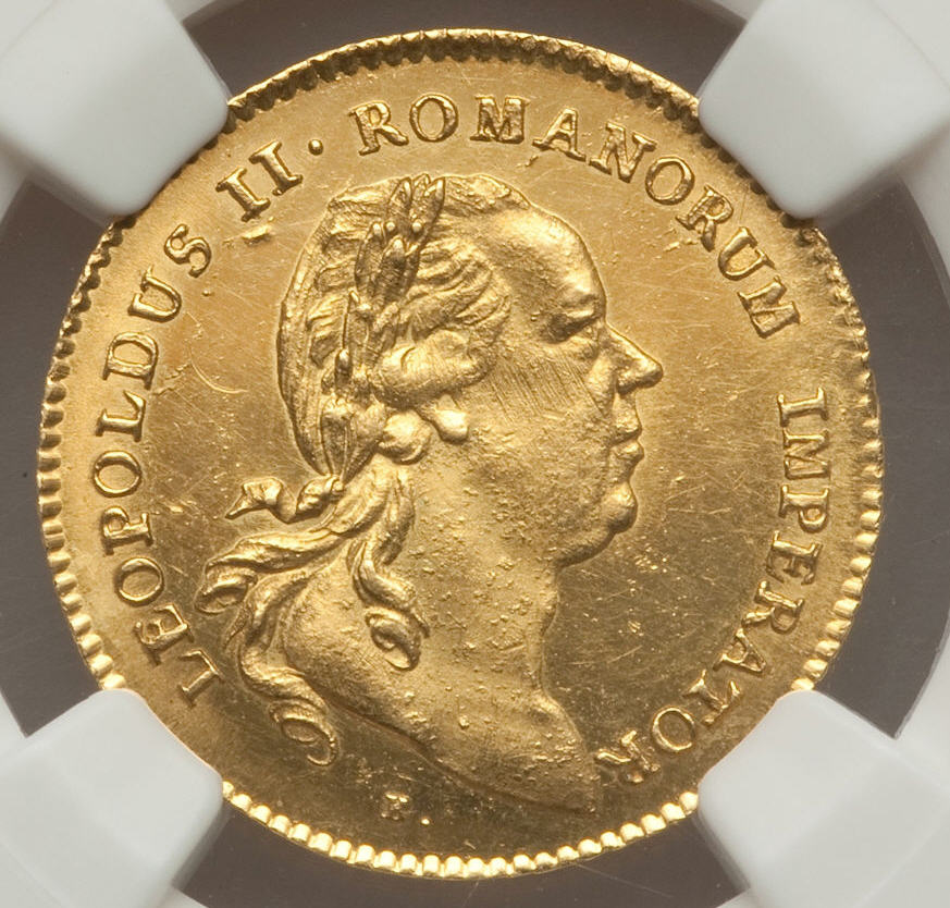 FEINGOLD AUFLAGE ドイツDOREORFIN Wolff ゴールド FEINGOLD AUFLAGE ドイツDOREORFIN Wolff ゴールド FEINGOLD AUFLAGE