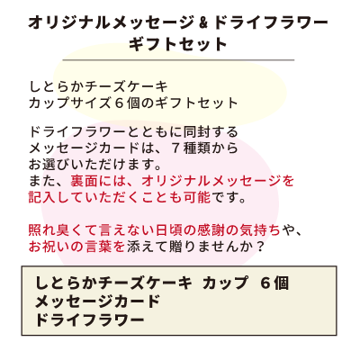 ڥեȡۥեǥ岰ΤȤ餫 å6糧å (Τ)б