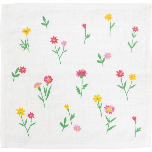 Ａｇ＋除菌かわいいふきん