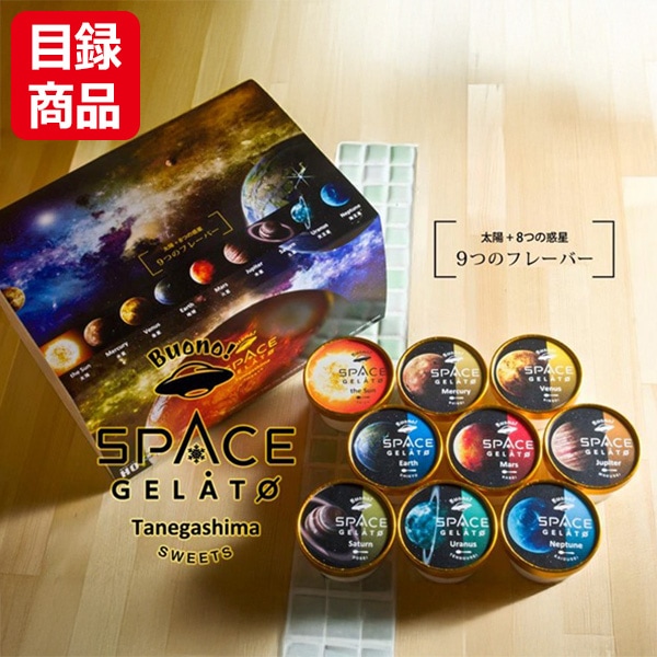 種子島スペースジェラート 9個入【目録】
