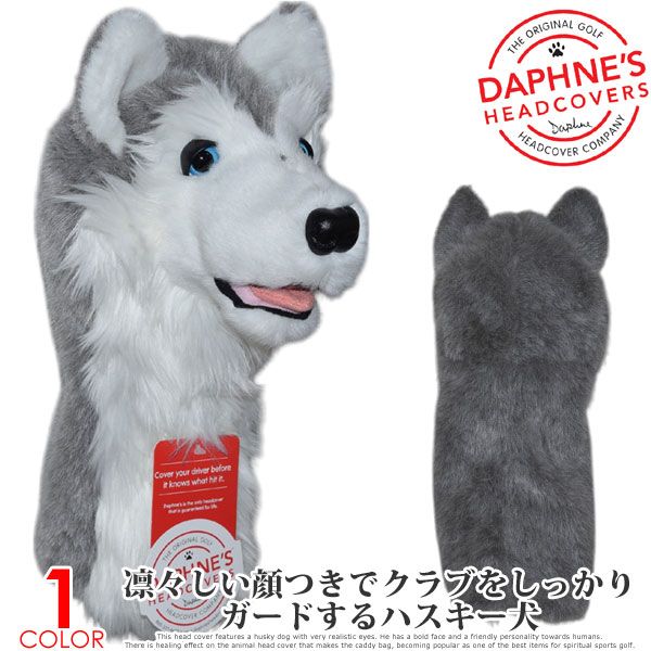 DAPHNES ϥ ɥ饤С إåɥС