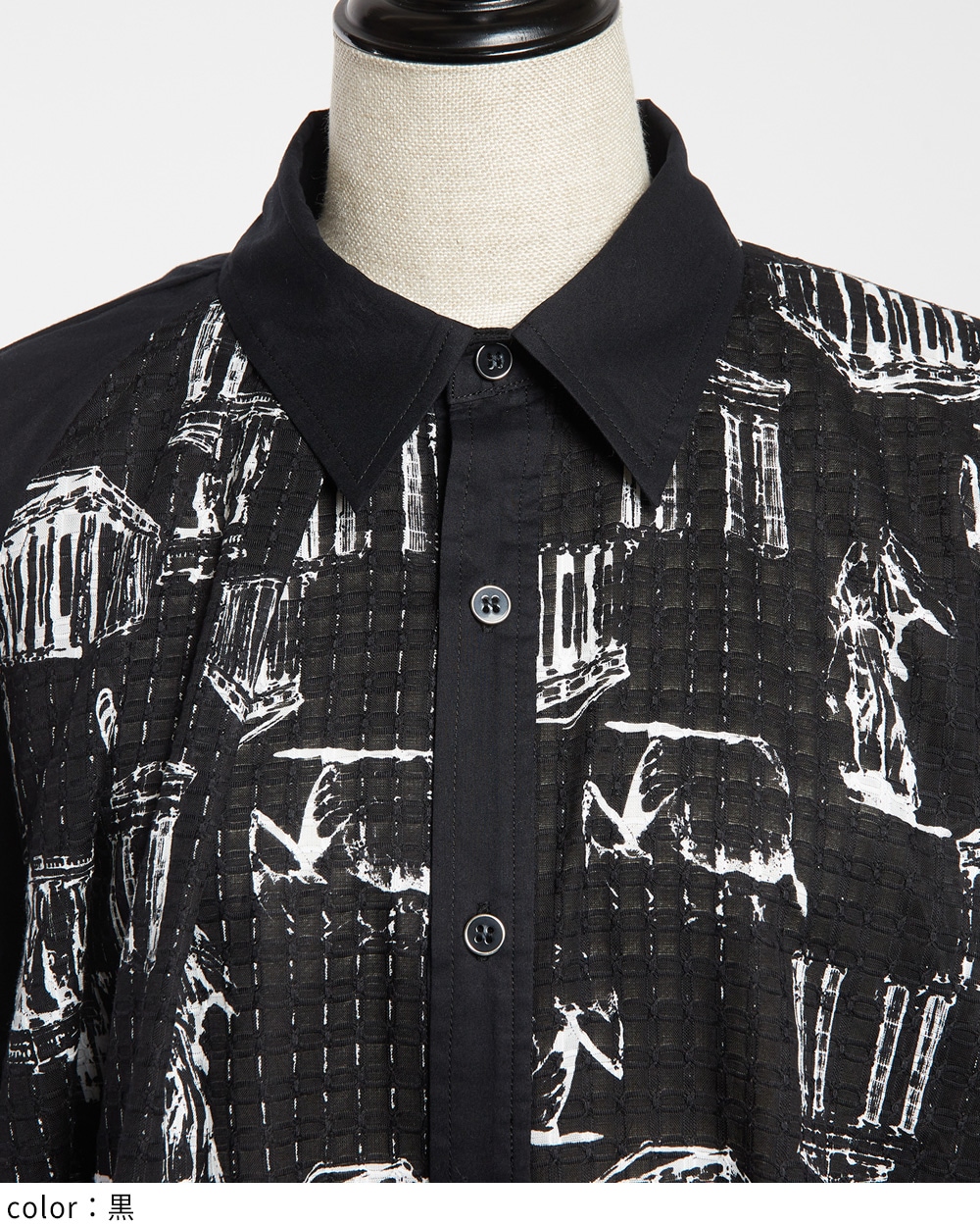 パルテノンビッグブラウス