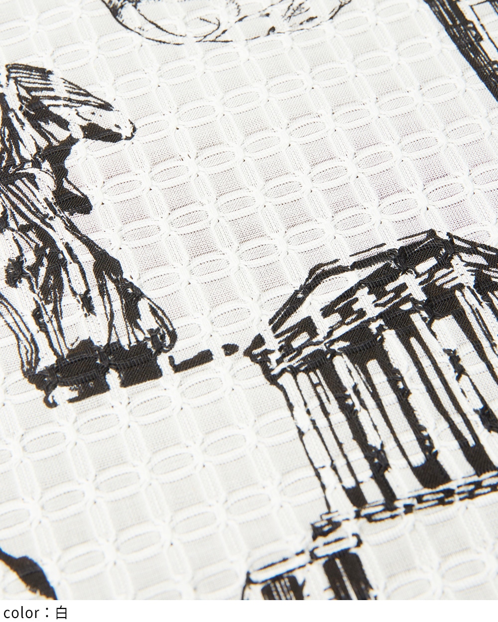 パルテノンビッグブラウス