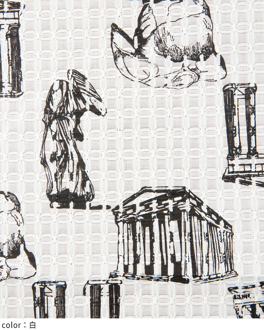 パルテノンビッグブラウス