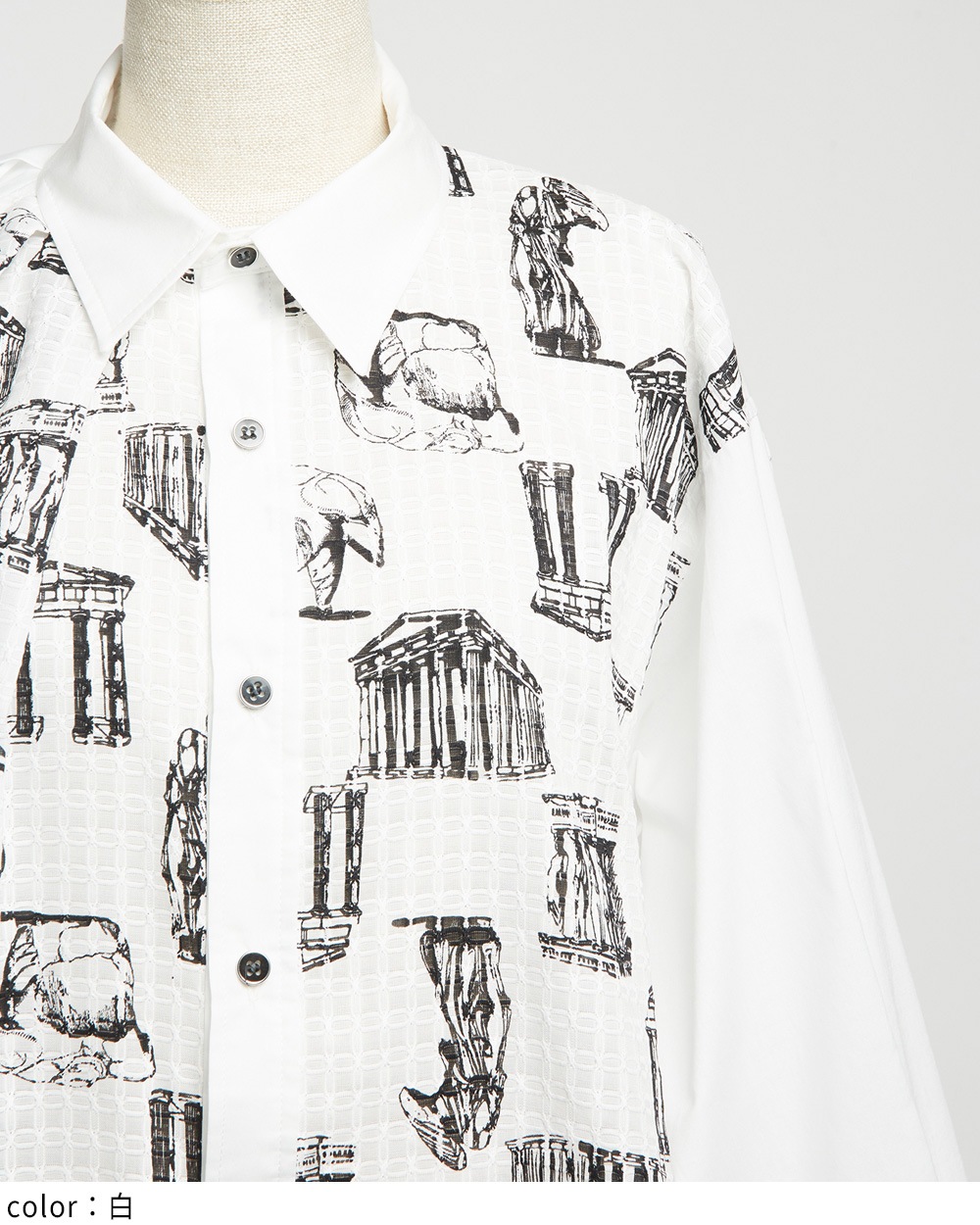 パルテノンビッグブラウス