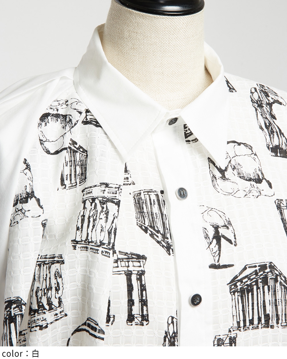 パルテノンビッグブラウス