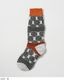 1白 x Ｆ
