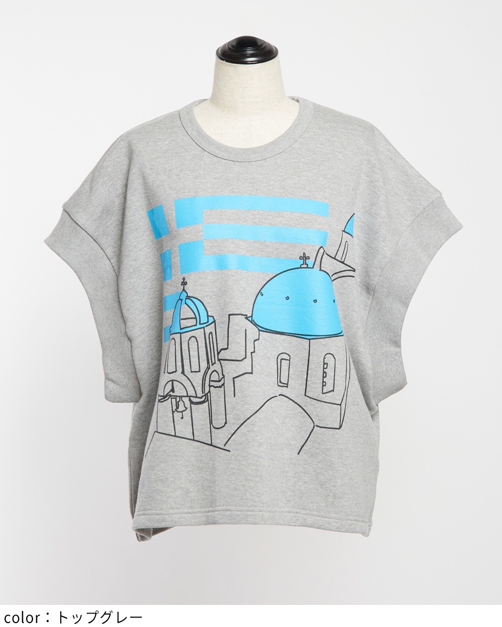 テーマプリントＴ