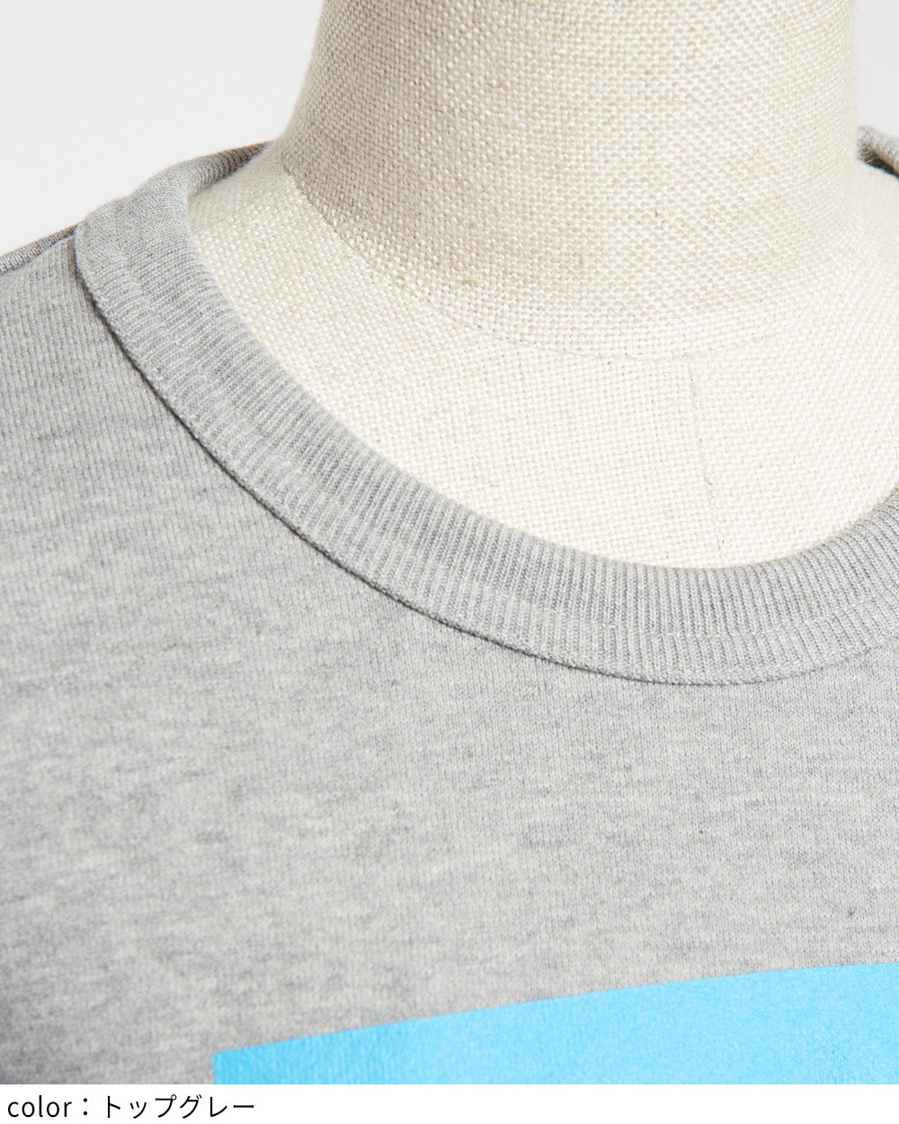 テーマプリントＴ