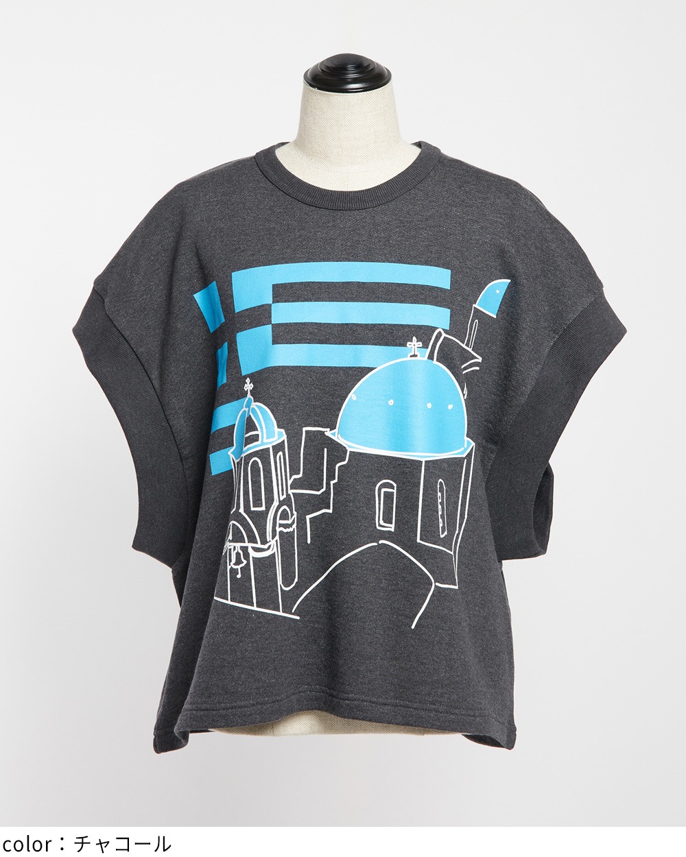 テーマプリントＴ