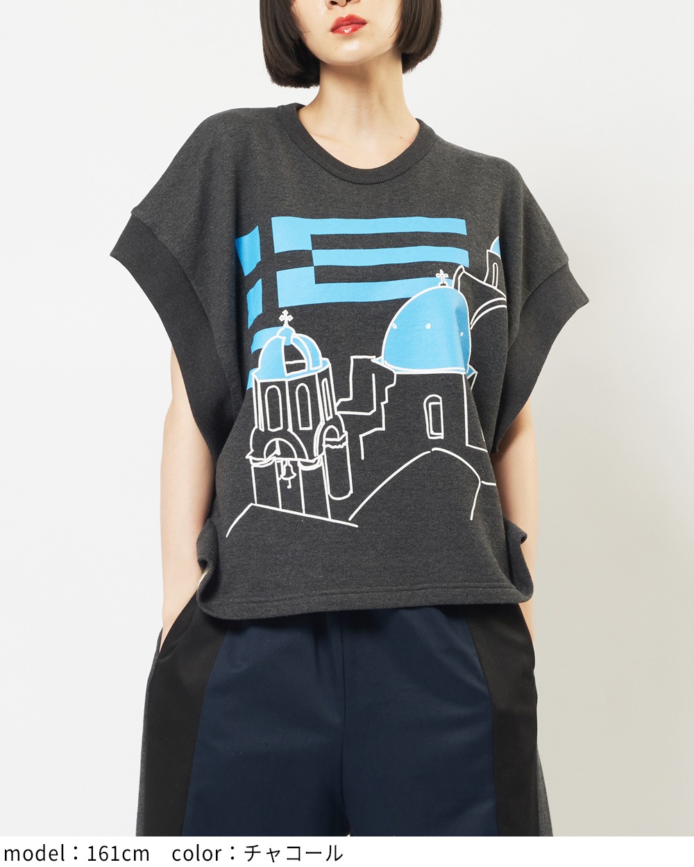 テーマプリントＴ