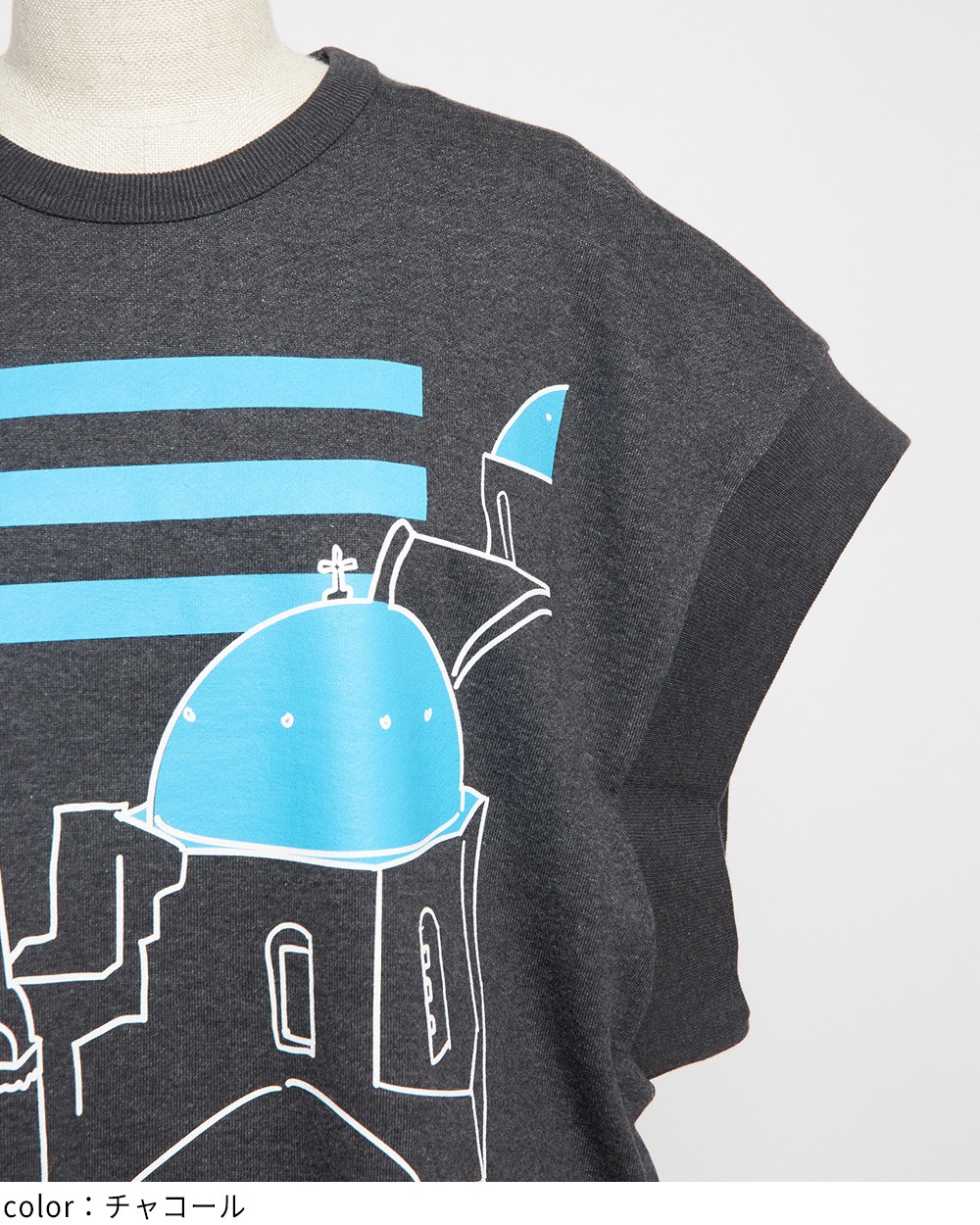 テーマプリントＴ