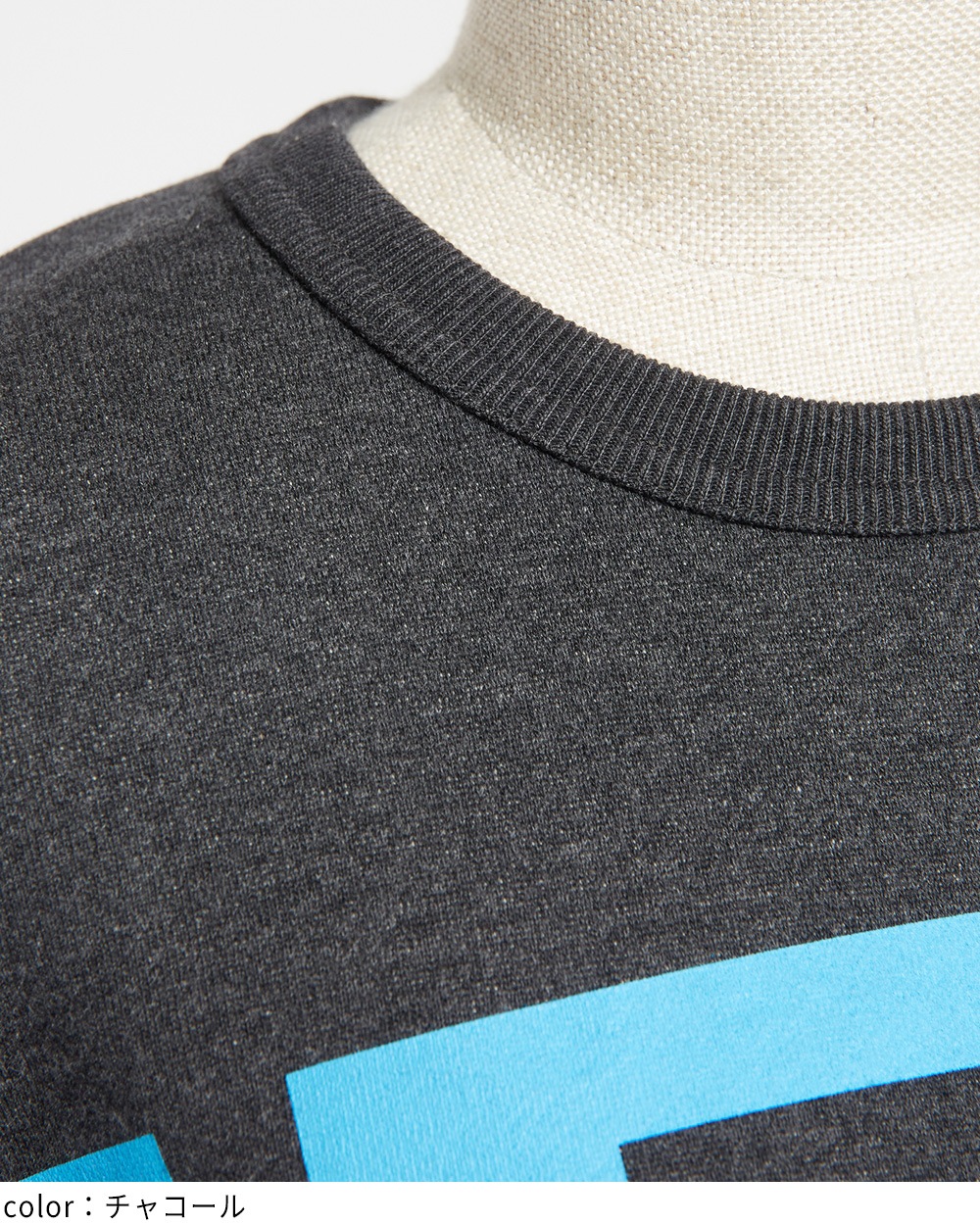 テーマプリントＴ