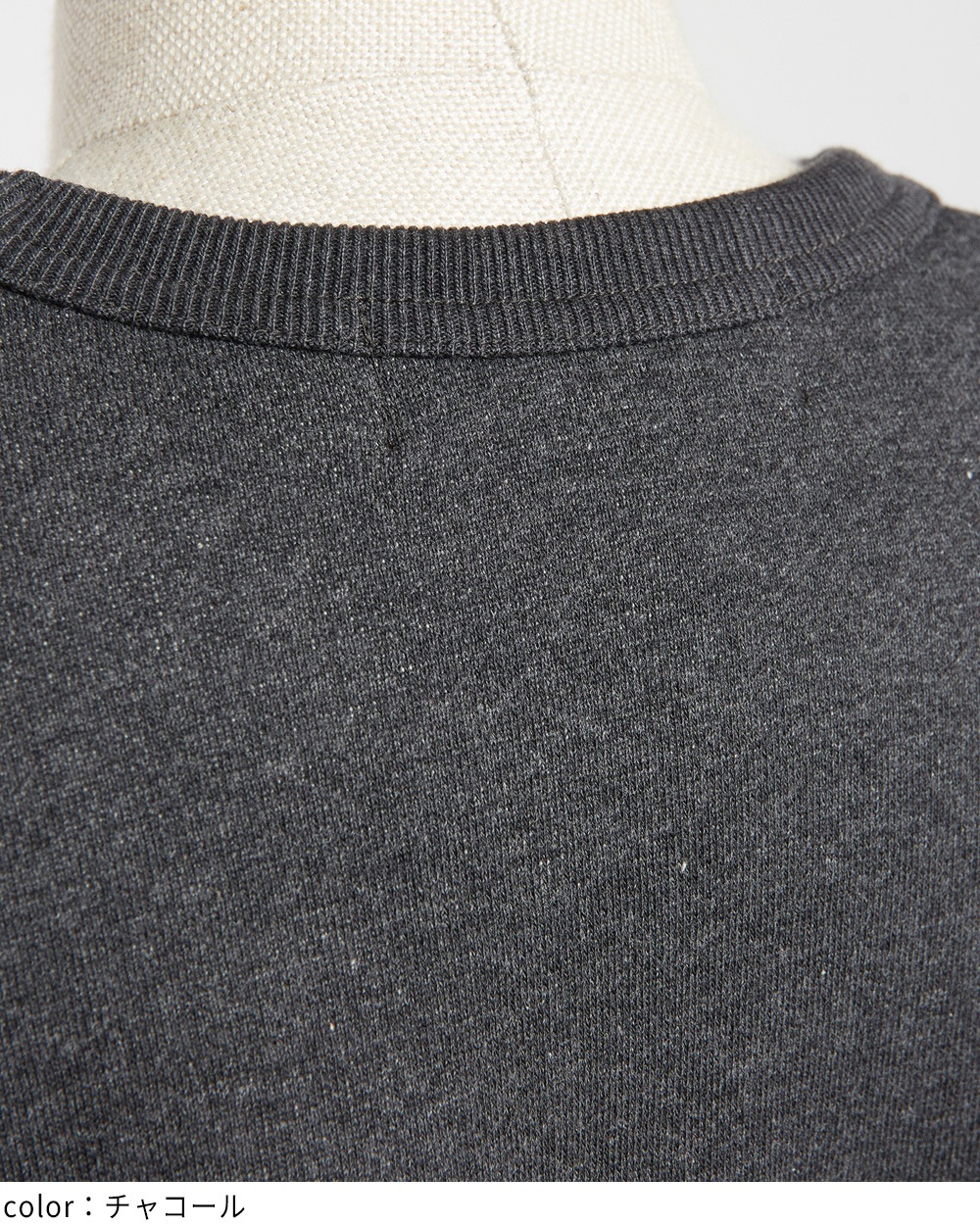 テーマプリントＴ