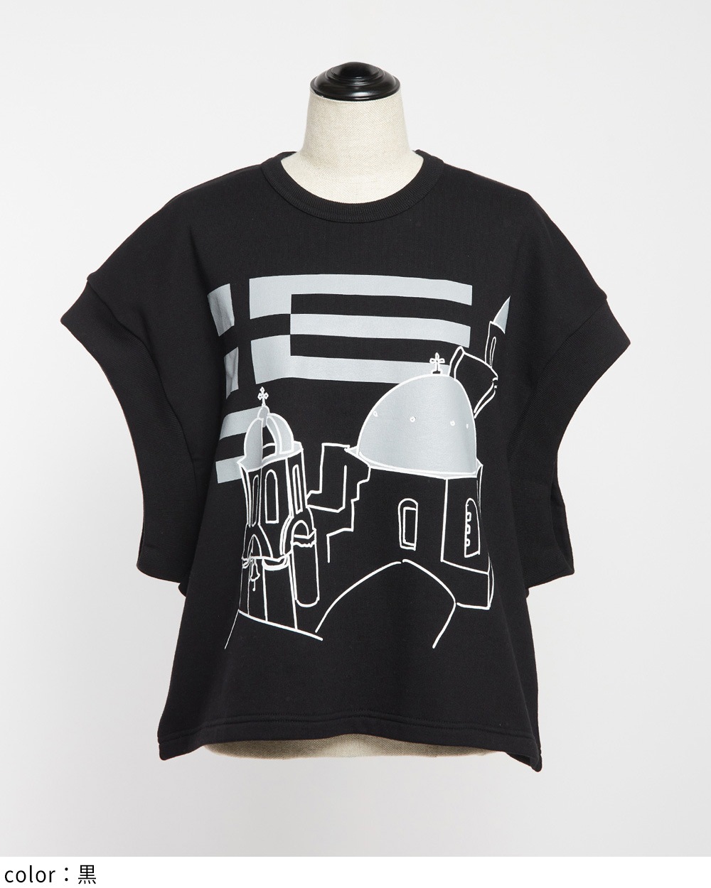 テーマプリントＴ