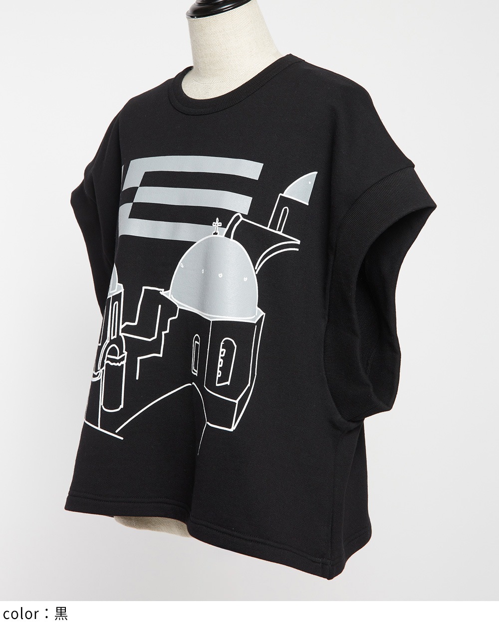 テーマプリントＴ