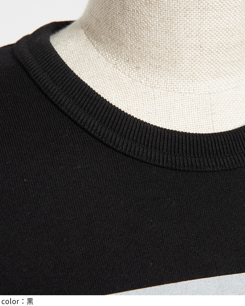 テーマプリントＴ