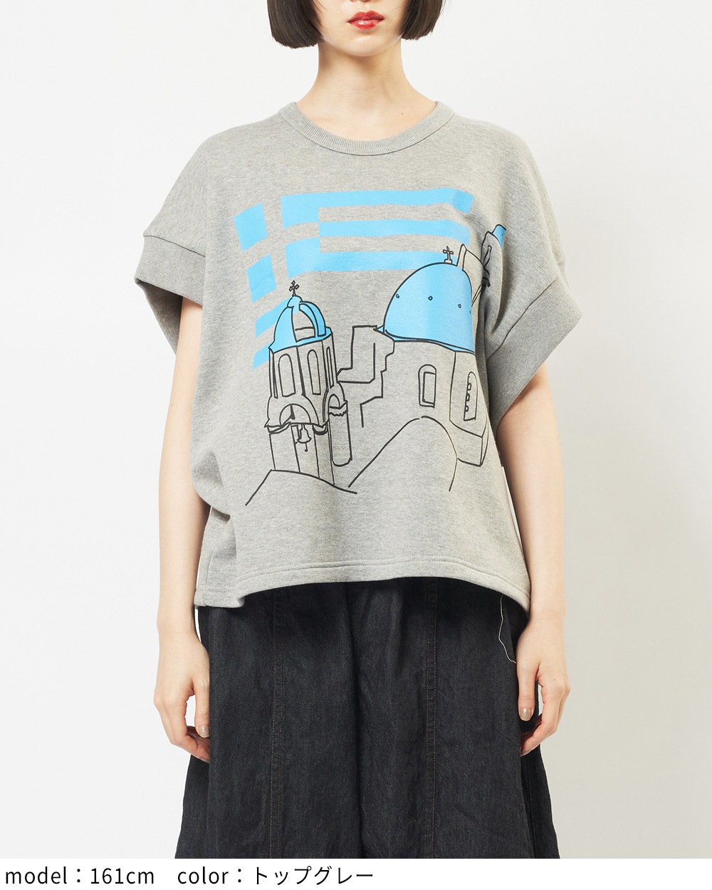 テーマプリントＴ