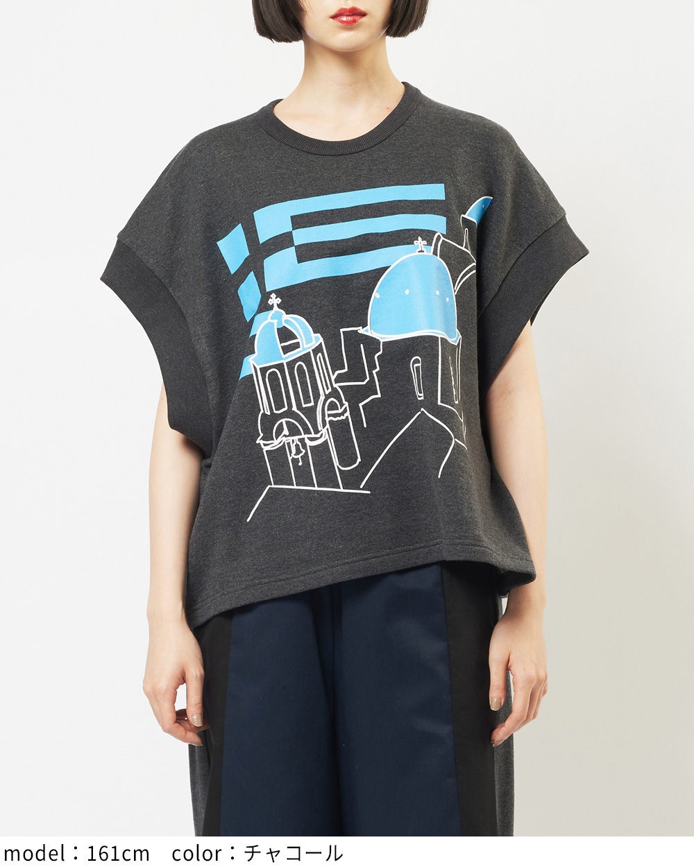 テーマプリントＴ