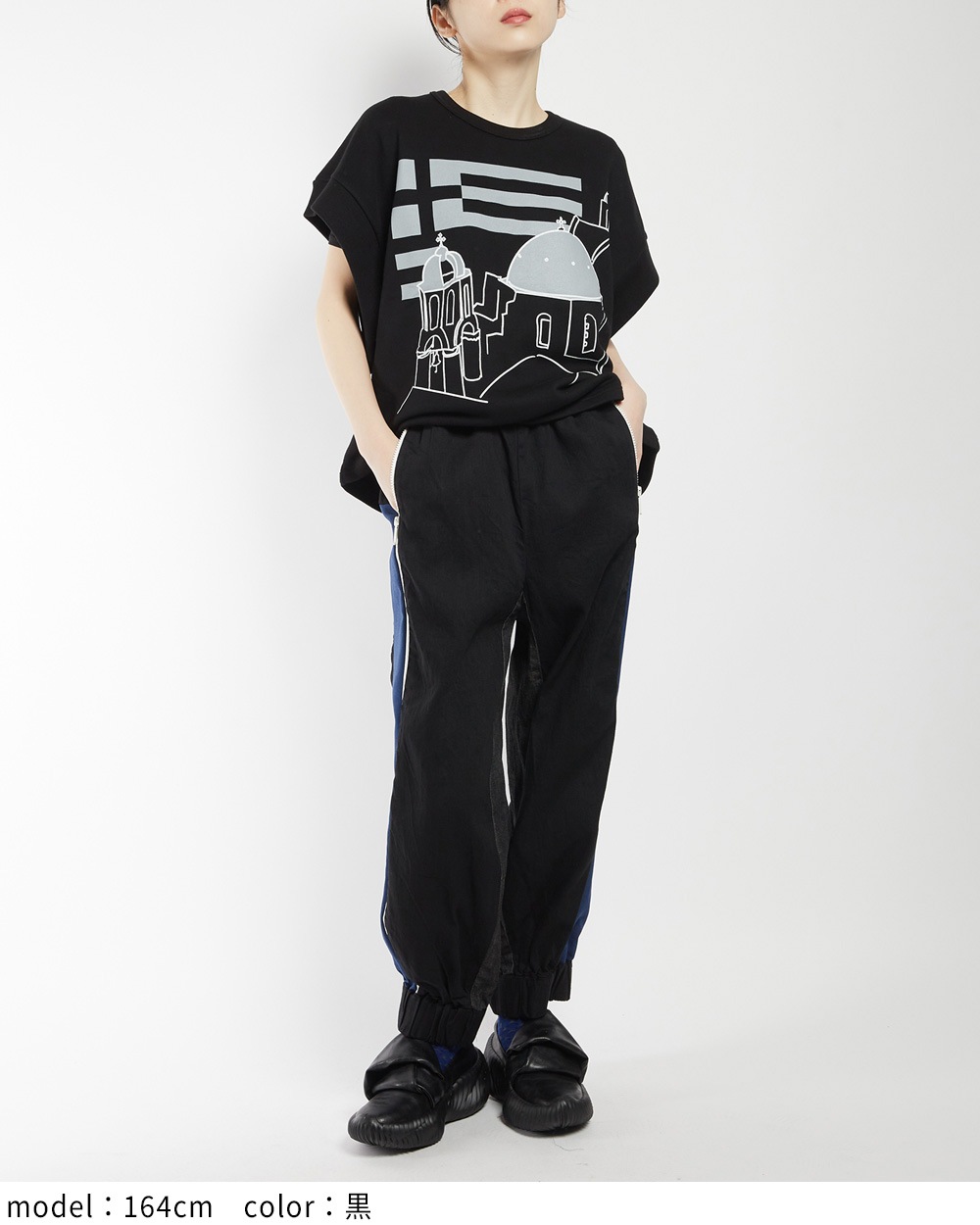 テーマプリントＴ